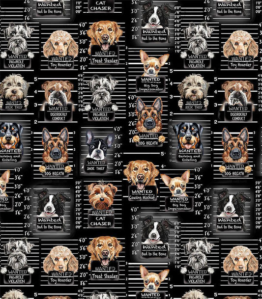 Dog Mugshots Fabric - Timeless Treasures - 100% Cotton - Dogs Rule Collection