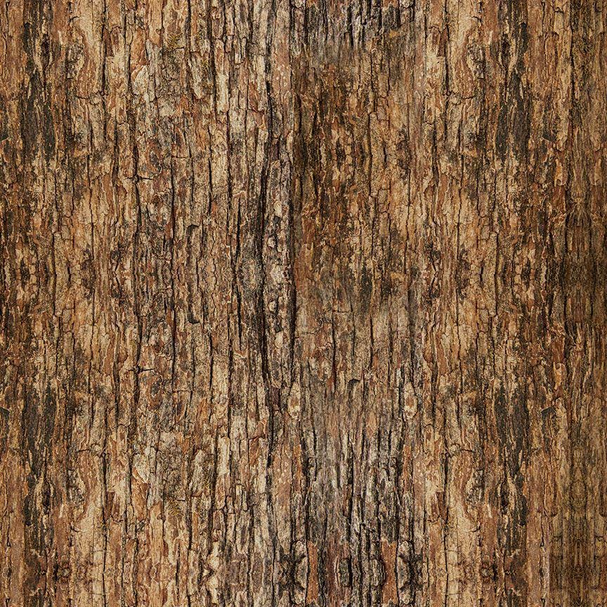 Wood Tree Bark Fabric - 100% Cotton - Timeless Treasures - CD3832