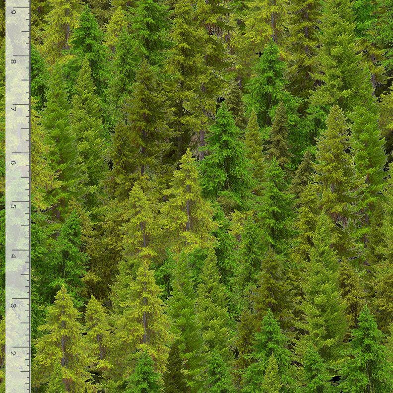 Evergreen Forest Fabric - 100% Cotton - Timeless Treasures - CD3831
