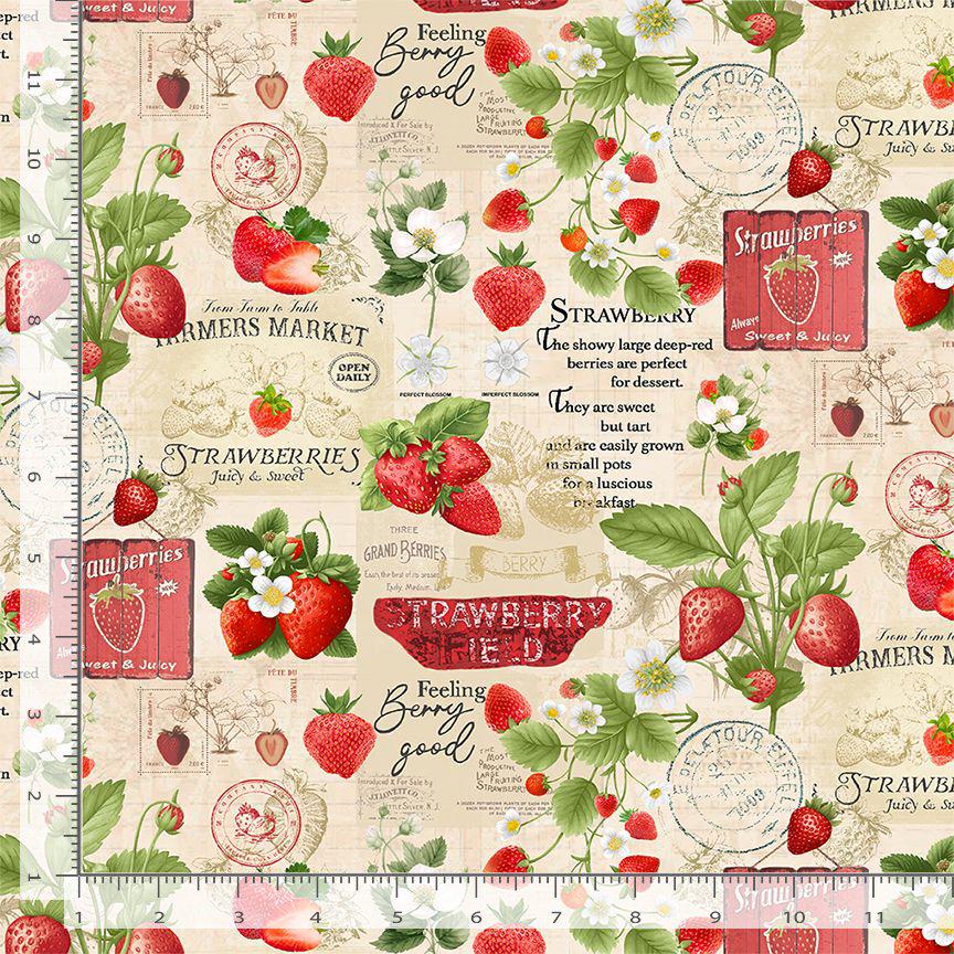 Strawberry Collage Fabric - 100% Cotton - Timeless Treasures CD3400
