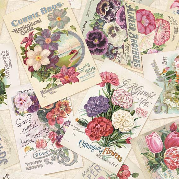 Seed Catalog Fabric - Cottage Lace collection - 100% Cotton - Marcus Fabrics - R261466D Multi