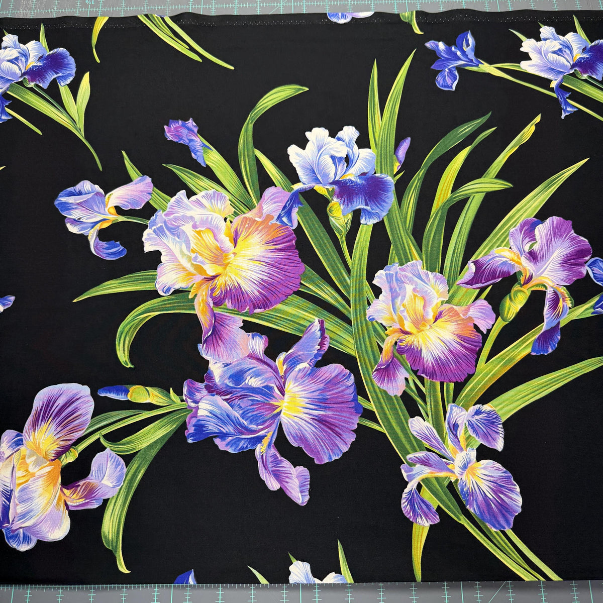 Purple Iris Fabric - LARGE Scale - Michael Miller - 100% cotton - Primavera Iris - DC4127-BLAC-D