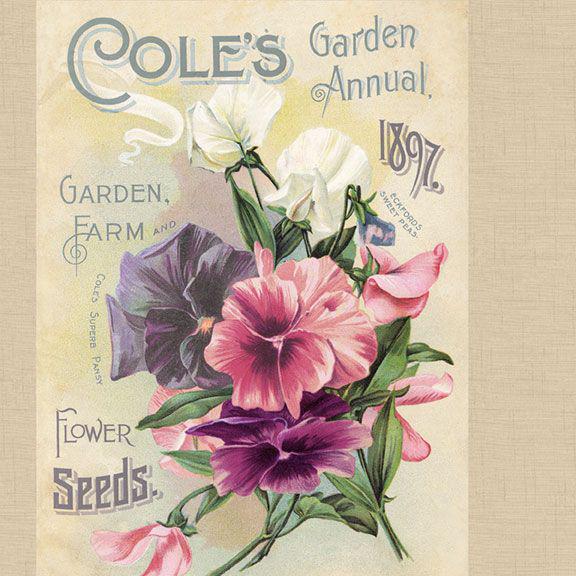 Seed Catalog Fabric Panel - 24" x 44" - 100% cotton - Marcus Fabrics - Cottage Lace Collection