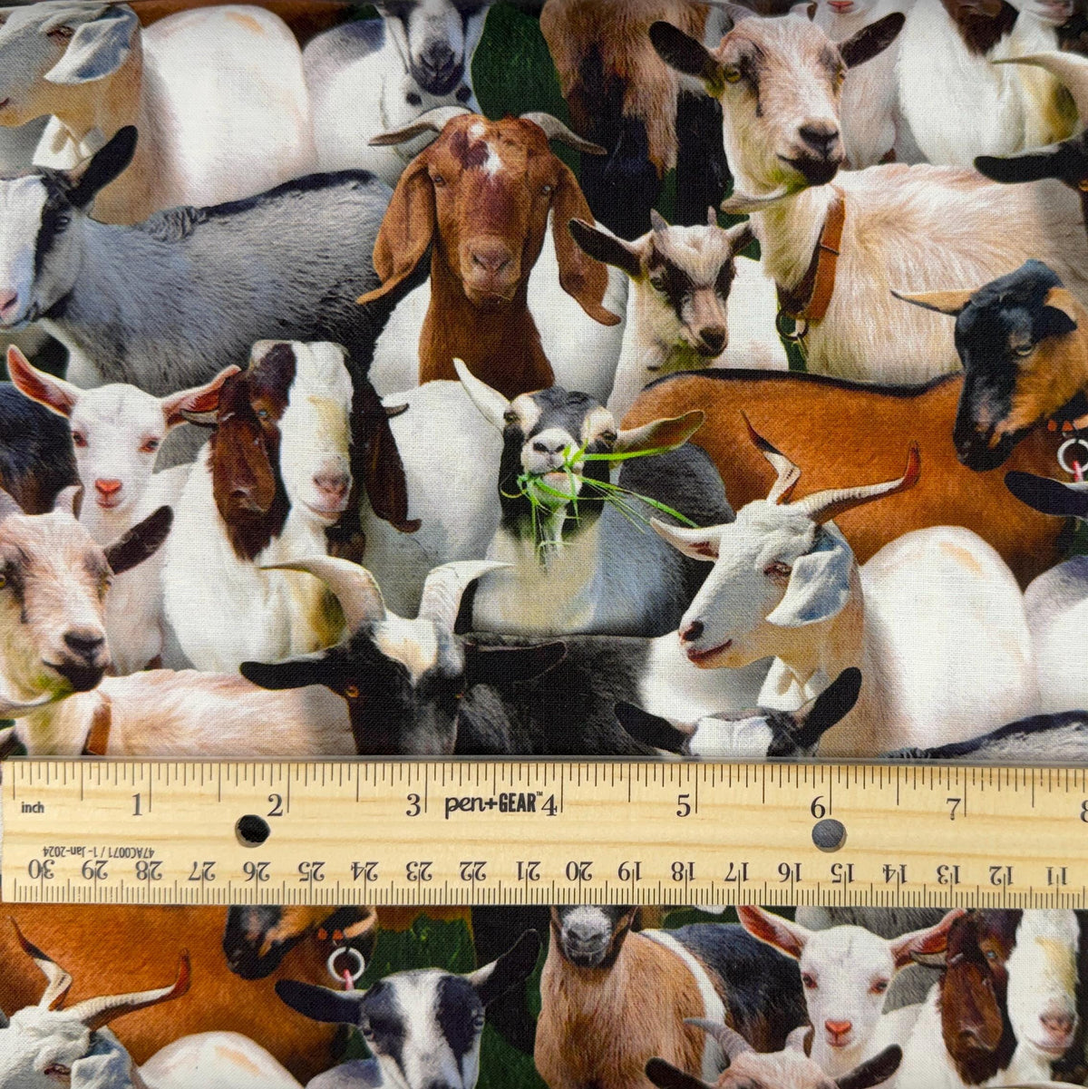 Goat Fabric - Farm Animals 434 Black - Elizabeth's Studio - 100% Cotton