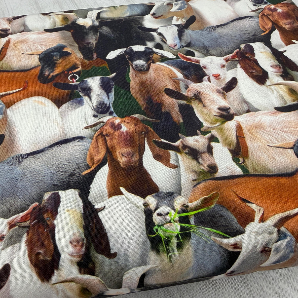 Goat Fabric - Farm Animals 434 Black - Elizabeth's Studio - 100% Cotton