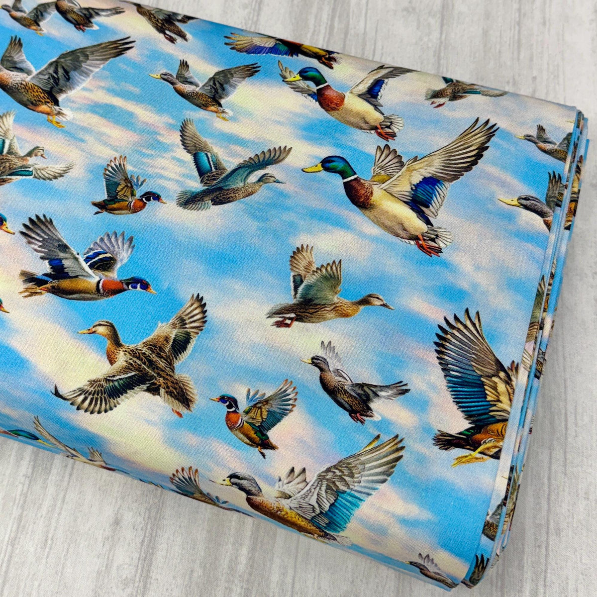 Autumn Flight - Duck Fabric - 100% Cotton - Michael Miller - Autumn Lake - DCX12458-SKYX-D