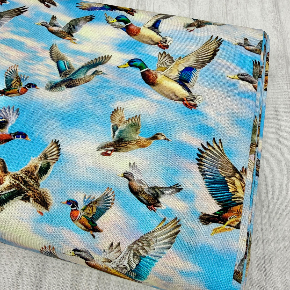 Autumn Flight - Duck Fabric - 100% Cotton - Michael Miller - Autumn Lake - DCX12458-SKYX-D