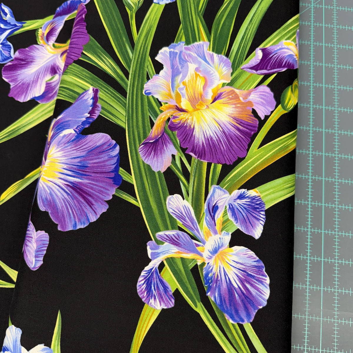 Purple Iris Fabric - LARGE Scale - Michael Miller - 100% cotton - Primavera Iris - DC4127-BLAC-D