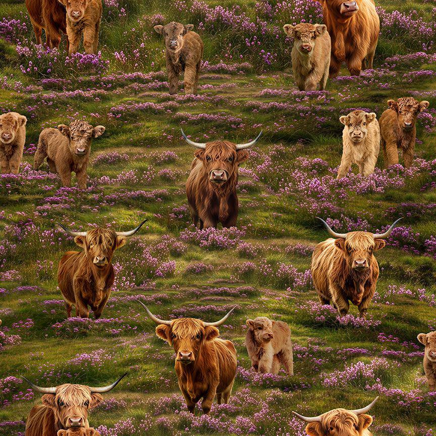 Highland Cow Fabric - Timeless Treasures - 100% Cotton - Heather & Highland - CD4396