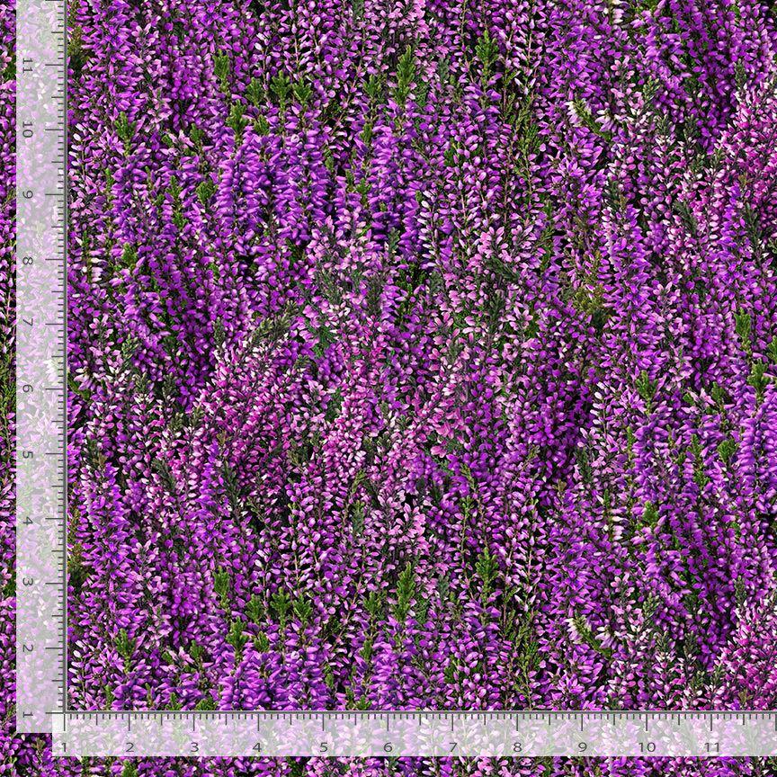 Lavender Flower Fabric - Timeless Treasures - 100% Cotton - Heather & Highland - CD4397