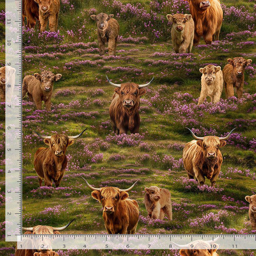 Highland Cow Fabric - Timeless Treasures - 100% Cotton - Heather & Highland - CD4396