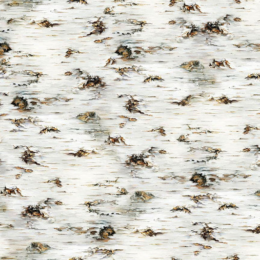 Birch Tree Texture - 100% Cotton - Timeless Treasures - DONA-CD3199