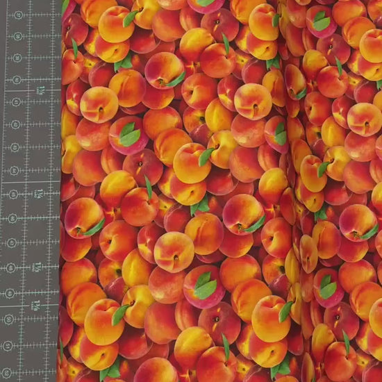 Peach Fabric - Food Festival collection