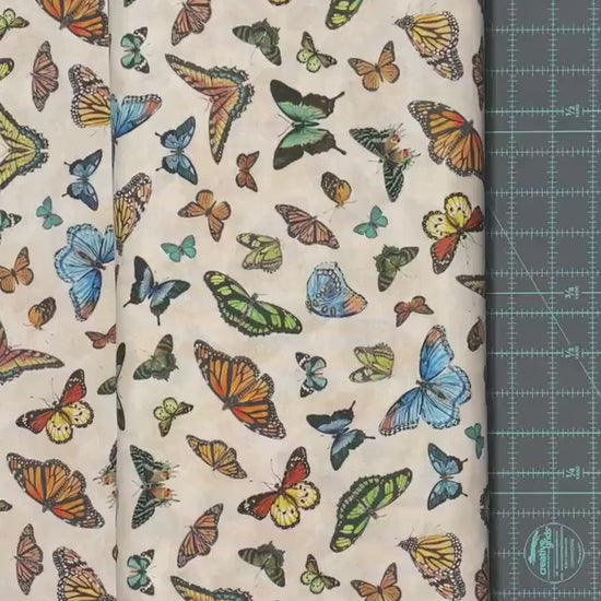 Butterfly fabric on Ivory - Butterfly collector Lepidoptery - Windham Fabrics - 100% woven quilting cotton - SHIPS NEXT DAY