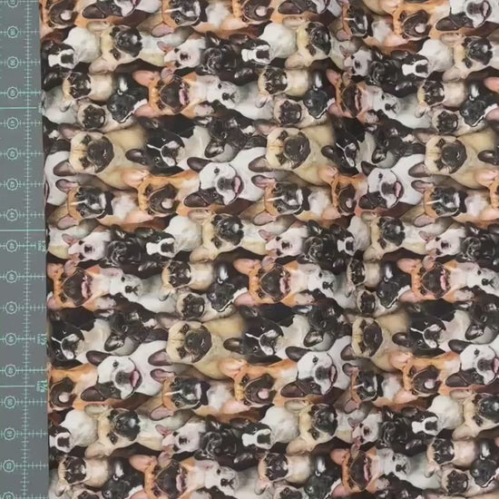 French Bulldog fabric - 687-multi - Elizabeth's Studio - 100% Cotton - Best Friend Collection - Frenchie dog fabric