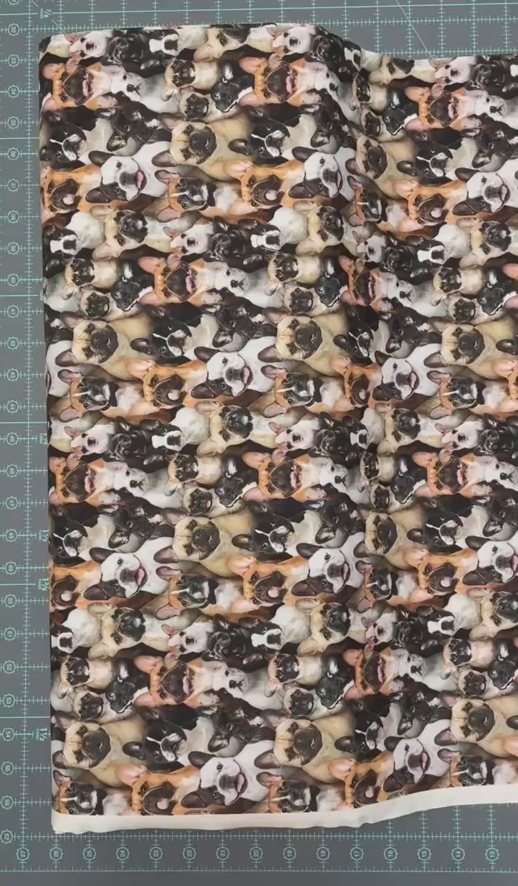 French Bulldog fabric - 687-multi - Elizabeth's Studio - 100% Cotton - Best Friend Collection - Frenchie dog fabric