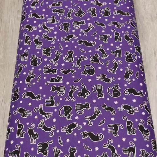 Scaredy Cats Fabric - Benartex Kanvas Studio- 100% Cotton