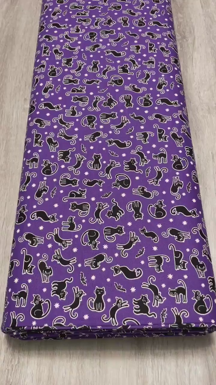 Scaredy Cats Fabric - Benartex Kanvas Studio- 100% Cotton