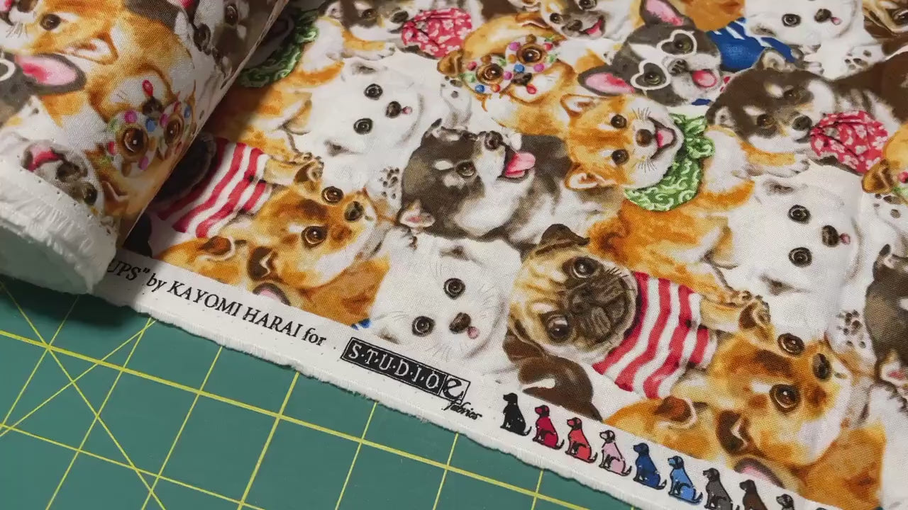 Dog fabric - Dog Fashion - Trendy Pups Collection from Studio E - 100% Cotton - Dog material Shiba Frenchie Pug - Ships NEXT DAY