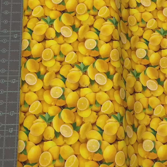 Lemon Fabric - Food Festival collection