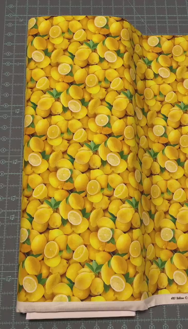 Lemon Fabric - Food Festival collection
