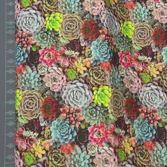 Succulent fabric by the yard - Elizabeth's Studio - 100% cotton - Succulent charm plant fabric plant material houseplants - SHIPS NEXT DAY