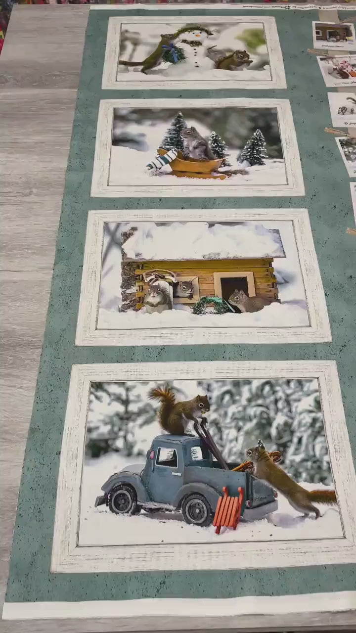 Secret Life of Squirrels II Fabric Panel 24" x 43" - Teal - Clothworks - Y4217-104 Teal