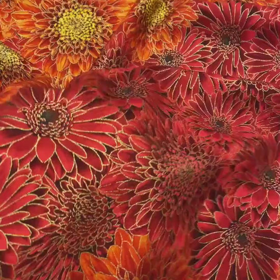 Ombre Metallic Mums Fabric - 100% Cotton - Fall is in the Air - Timeless Treasures