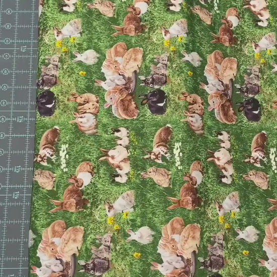 Realistic Bunny Rabbit fabric - Farm Animals - 650Green