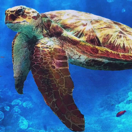 Sea Turtle Fabric - V5258-61-Turquoise - Tides of Color - Hoffman - 100% Cotton