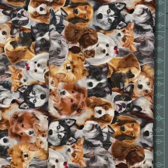 Dog fabric - Dog Breeds All Over - 1314-Black