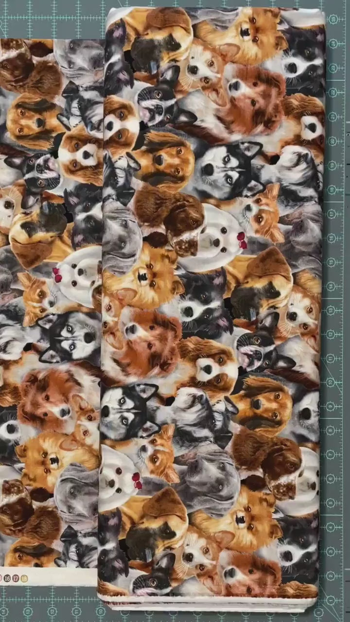 Dog fabric - Dog Breeds All Over - 1314-Black