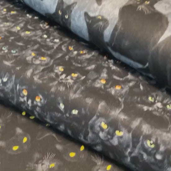 Black Cat Fabric - Wicked Black Cats Magic - Timeless Treasures - 100% Cotton - Mystick Library