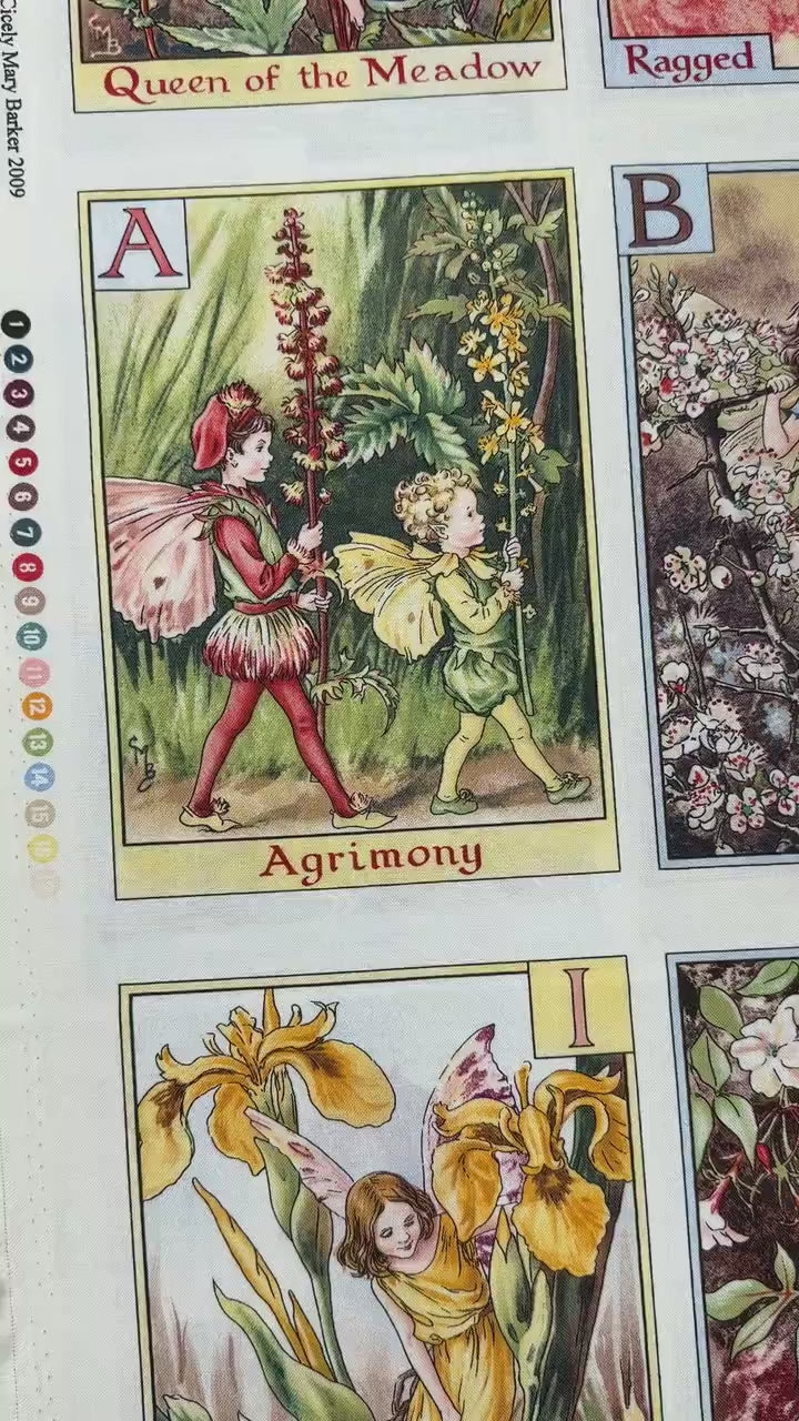 Alphabet Fairy Fabric Panel - 44" W x 23.5" L - Michael Miller - 100% Cotton