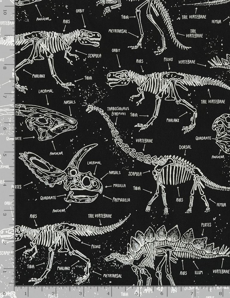 Dinosaur fabric by the yard - GLOW in the dark - Dino Skeletons by Timeless Treasures - 100% Cotton Fabric - Dino material - Ships NEXT DAY