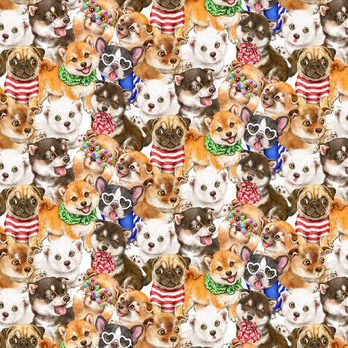 Dog fabric - Dog Fashion - Trendy Pups Collection from Studio E - 100% Cotton - Dog material Shiba Frenchie Pug - Ships NEXT DAY