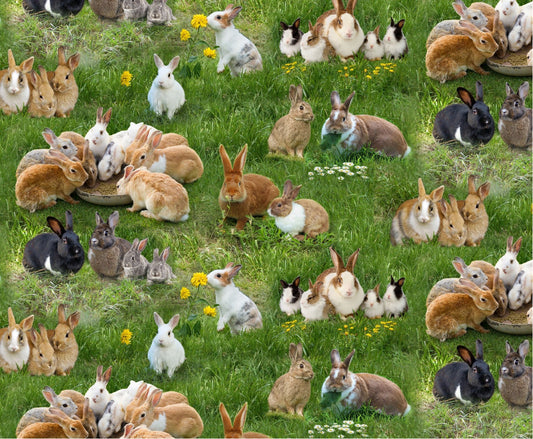 Bunny fabric - Rabbits - Farm Animals Collection by Elizabeth's Studio - 100% Cotton - realistic bunny print material - SHIPS NEXT DAY
