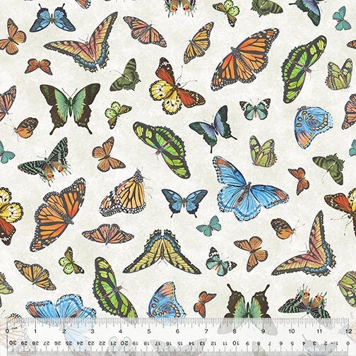 Butterfly fabric on Ivory - Butterfly collector Lepidoptery - Windham Fabrics - 100% woven quilting cotton - SHIPS NEXT DAY