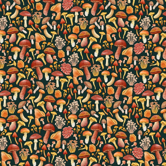 Mushroom Fabric - Nightfall Collection - Timeless Treasures- 100% Cotton - Mushroom Material Mushroom Print Fungi - SHIPS NEXT DAY