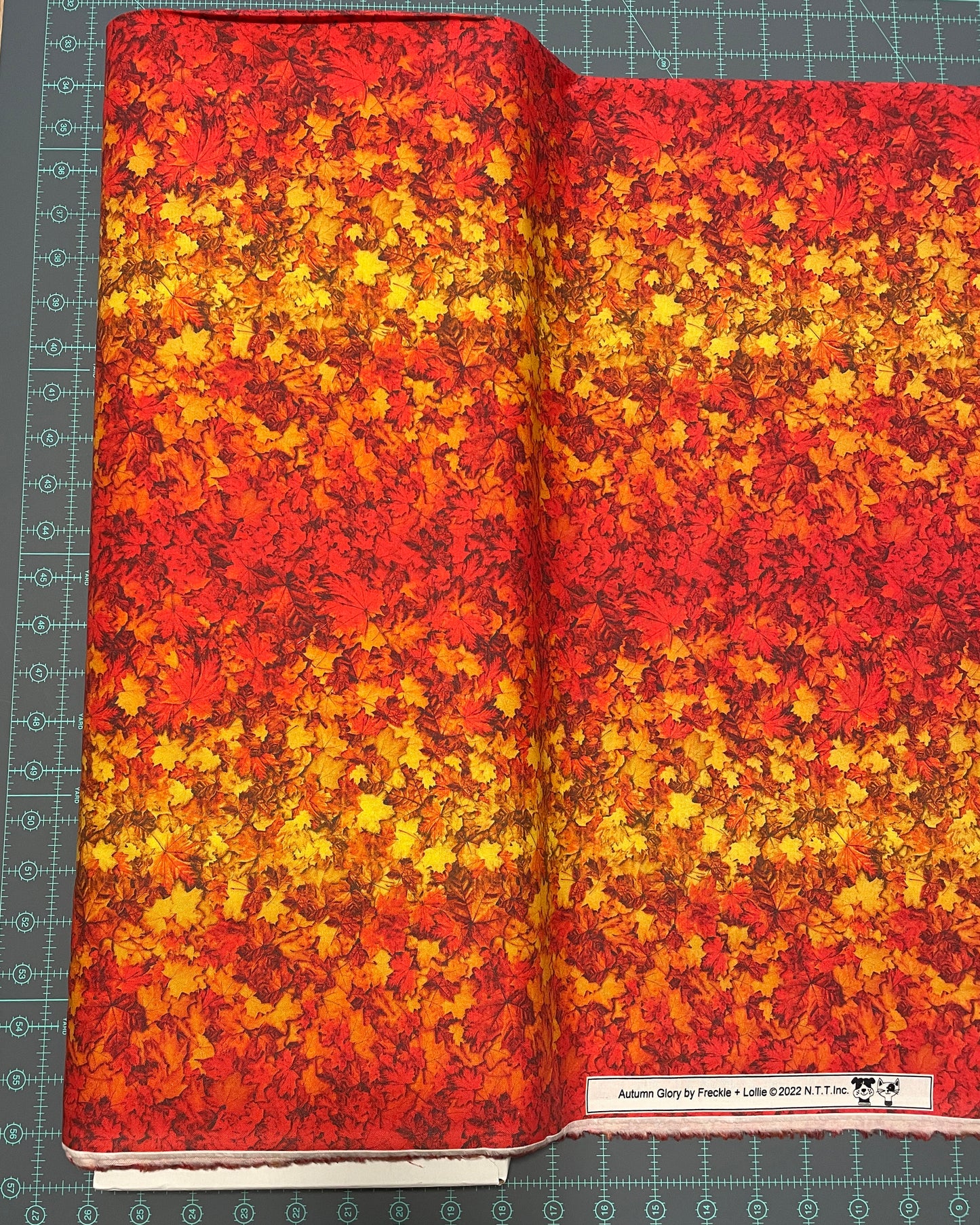 Fall Leaves Fabric - Autumn Glory Ombre Leaves - By Freckle & Lollie - 100% Cotton - Multicolor leaf vibrant nature theme - Ships NEXT DAY