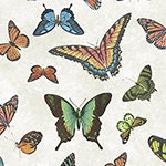 Butterfly fabric on Ivory - Butterfly collector Lepidoptery - Windham Fabrics - 100% woven quilting cotton - SHIPS NEXT DAY