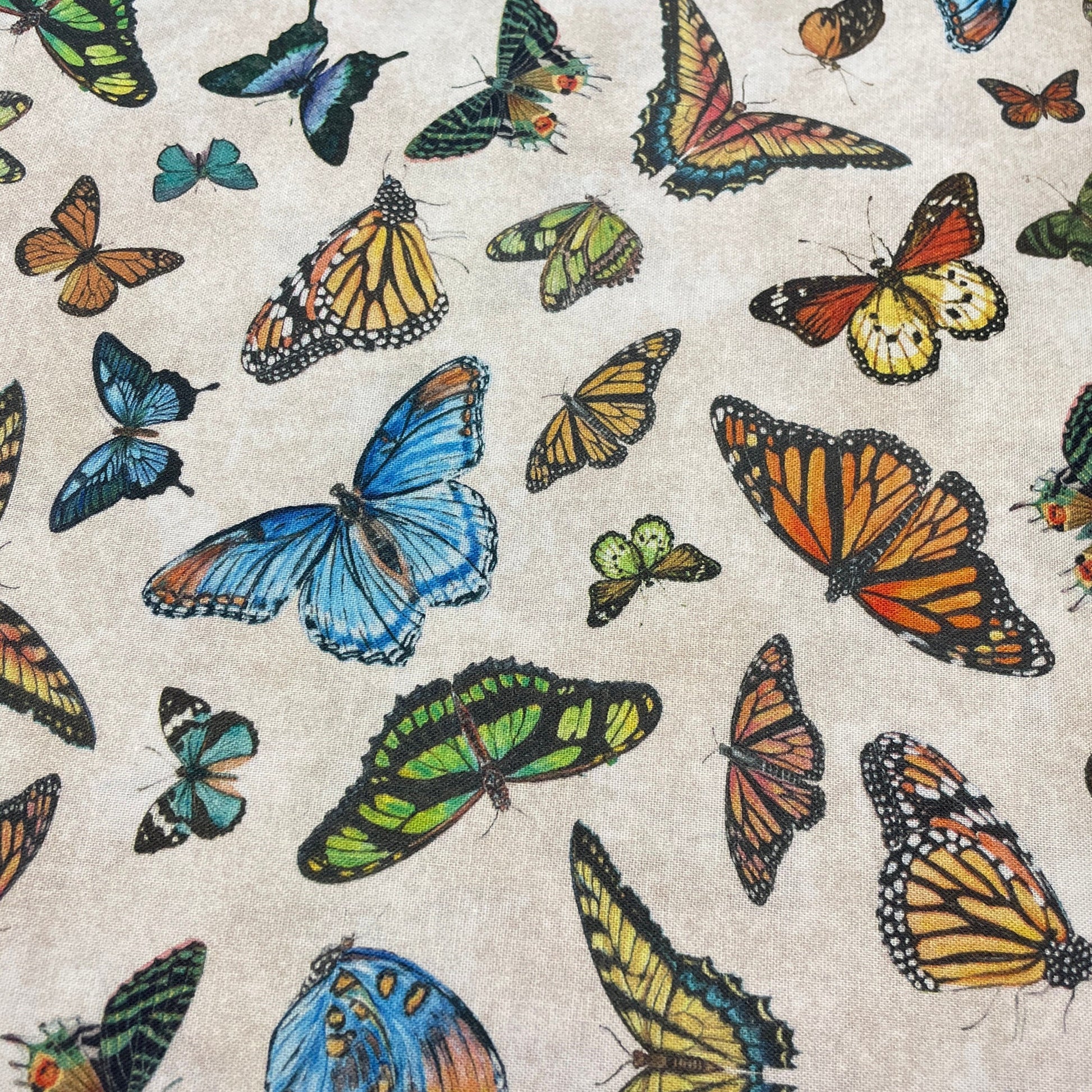 Butterfly fabric on Ivory - Butterfly collector Lepidoptery - Windham Fabrics - 100% woven quilting cotton - SHIPS NEXT DAY