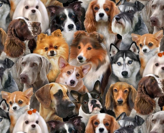 Dog fabric - Dog Breeds All Over - 1314-Black