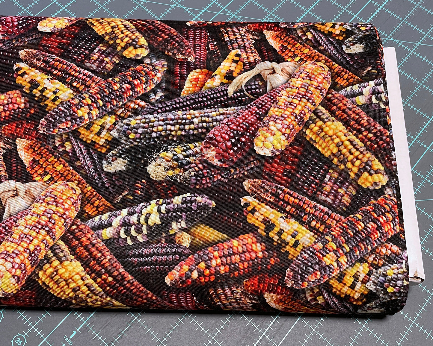 Native Corn Fabric - Food Festival - Elizabeth Studios