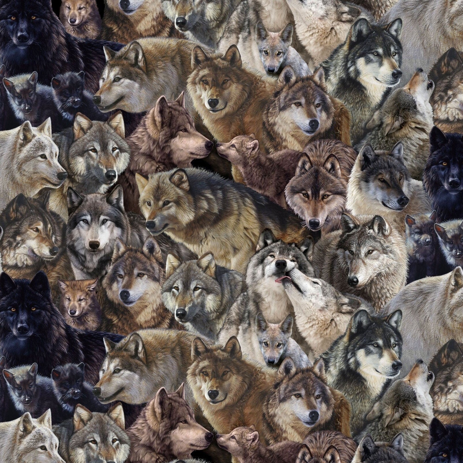 Wolf fabric - Elizabeth's Studio - Canis Lupus 9704 Multi Packed Wolf - 100% Cotton Fabric