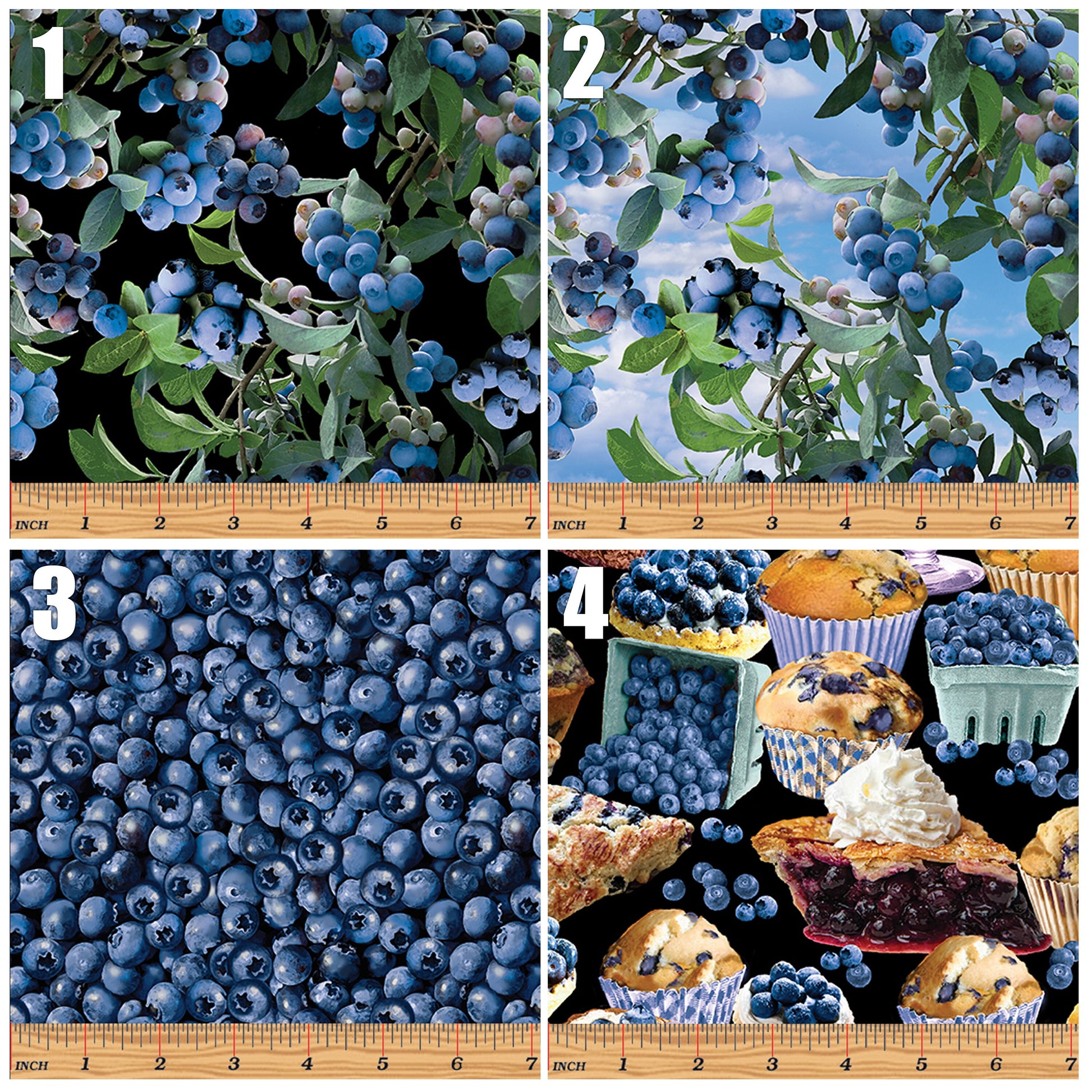 Blueberry Hill - Pick your fabric by the 1/2 yard - Benartex - 100% Cotton Fabric - food theme quilt material