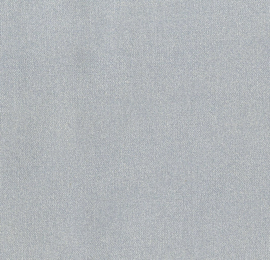 Silver Quilting Cotton - Metallic Silver 38934M-2 by Whistler Studios for Windham Fabrics