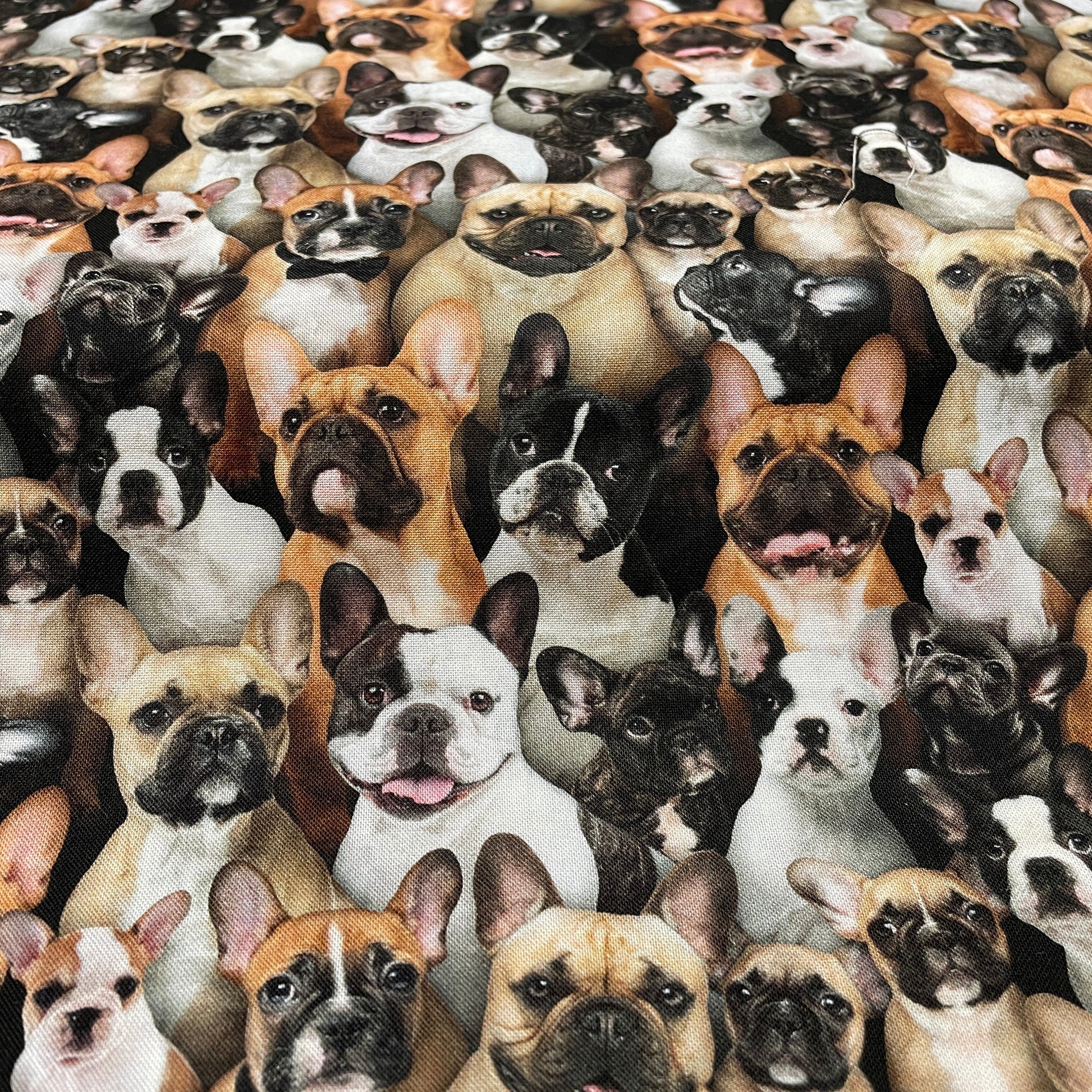 French Bulldog fabric - 687-multi - Elizabeth's Studio - 100% Cotton - Best Friend Collection - Frenchie dog fabric