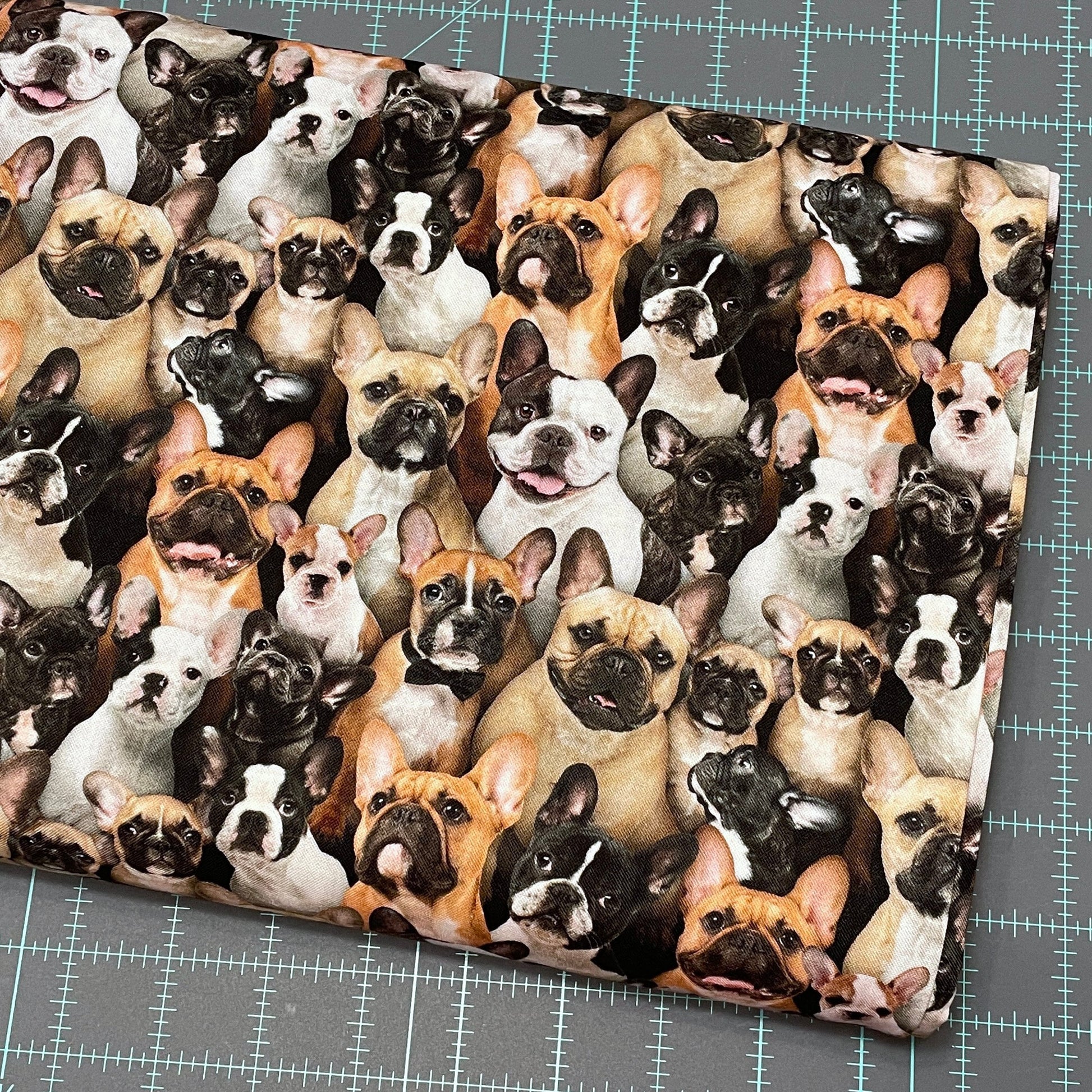 French Bulldog fabric - 687-multi - Elizabeth's Studio - 100% Cotton - Best Friend Collection - Frenchie dog fabric