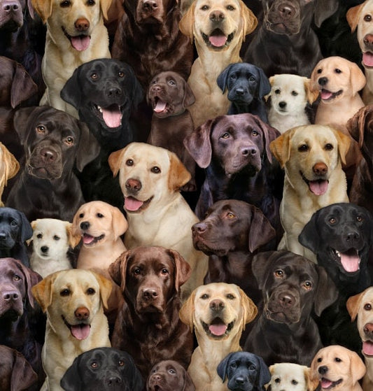 Labrador fabric - 686-multi - Elizabeth's Studio - 100% Cotton - Best Friend Collection - Retriever Dog